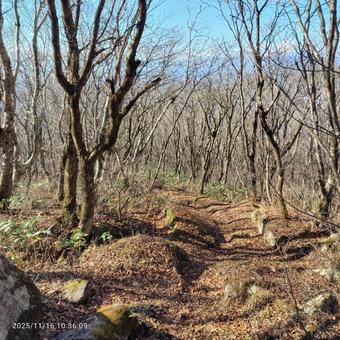 秋晴れの登山道 登山,登山道,秋晴れの写真素材