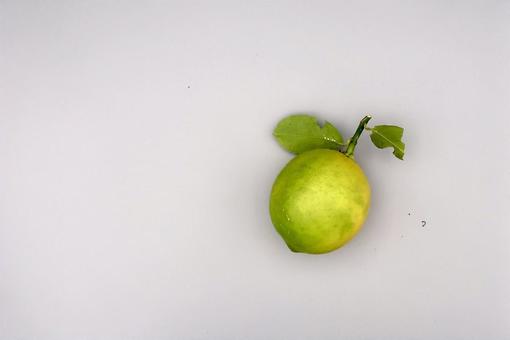 ライム　ちょっと緑、時々きいろ 果物,食材,素材の写真素材