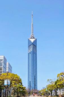 福岡タワー 縦 福岡タワー 縦の写真