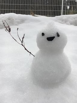雪だるまの写真
