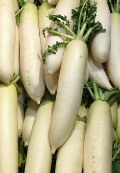 大根 大根,野菜,食材の写真素材