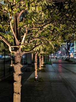 Night cityscape, JPG
