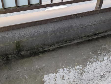 ゲリラ豪雨 ゲリラ豪雨の写真
