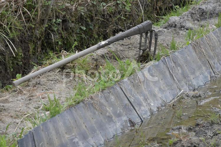 農作業中の水田のあぜ道に置かれた備中鍬 備中鍬,畦,水田の写真素材