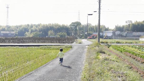 田舎道を駆ける子供 子供,後ろ姿,走るの写真素材