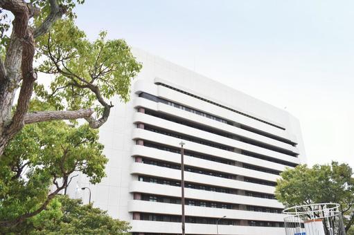 横須賀市役所 横須賀市役所の写真
