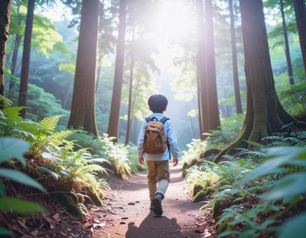森を歩く子の写真