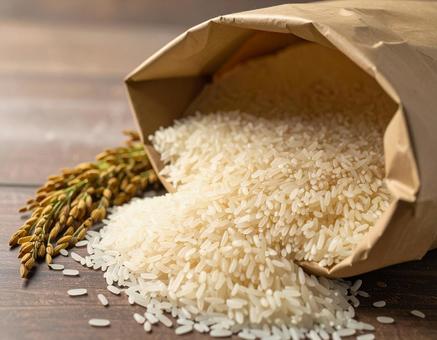 もみ殻付き新米・秋の収穫風景 もみ殻付き新米・秋の収穫風景の写真