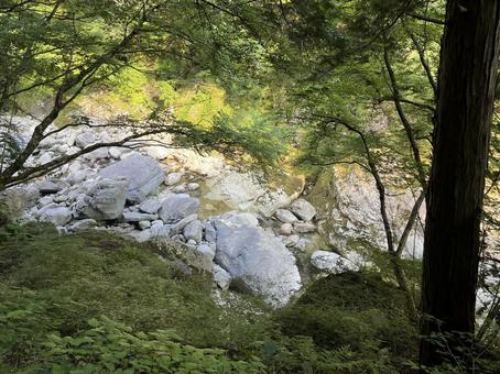 面河渓 面河渓の写真