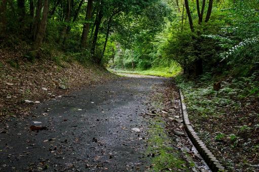 長命館公園⑷ 公園,長命館公園,館跡の写真素材