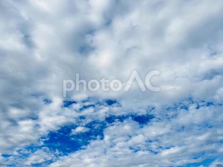 青空に浮かぶ白い雲の風景 青空,空,雲の写真素材