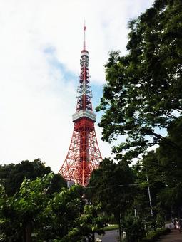 東京タワー 東京タワーの写真