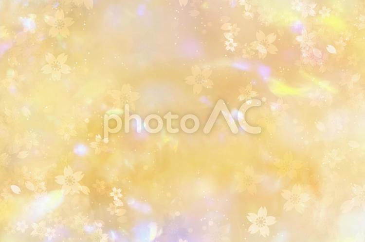 舞い散る桜のゴールド背景乙女の輝き 桜,春,背景の写真素材