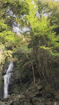 川根町 不動の滝007 川根町 不動の滝007 静岡県,川根町,不動の滝の写真素材