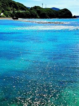 奄美 宇検村の海 奄美 宇検村の海の写真
