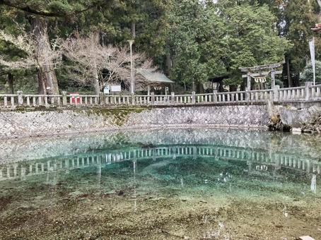 別府弁天池 別府弁天池 別府弁天池,池,絶景の写真素材