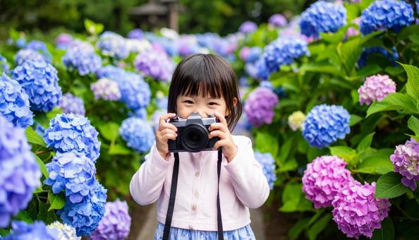 美しい紫陽花に囲まれてカメラを構える子供 美しい紫陽花に囲まれてカメラを構える子供の写真