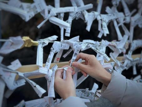 おみくじ 1 おみくじ 1 神社,おみくじ掛け,結ぶの写真素材