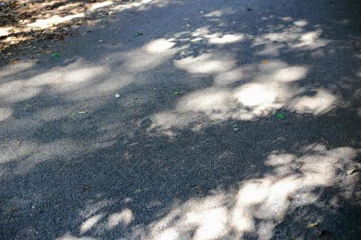 道路に落ちた木漏れ日が作りだした模様 道路に落ちた木漏れ日が作りだした模様 木漏れ日,模様,木陰の写真素材