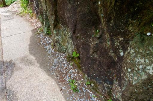 250527昇仙峡 山梨県,甲府市,昇仙峡の写真素材