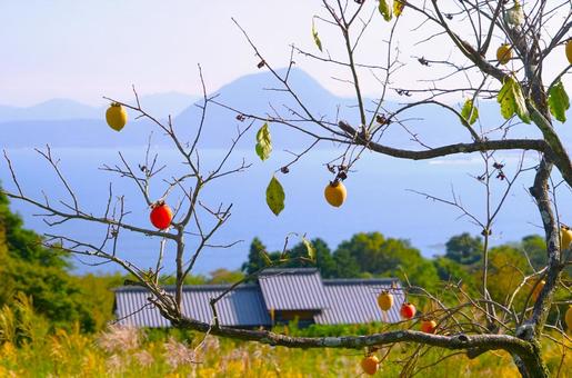 秋の風景、瓦屋根 柿,海,果物の写真素材