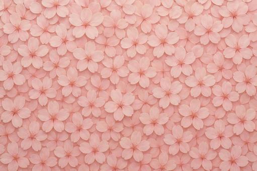 桜の花びらを敷き詰めた春のテクスチャ 桜の花びらを敷き詰めた春のテクスチャの写真