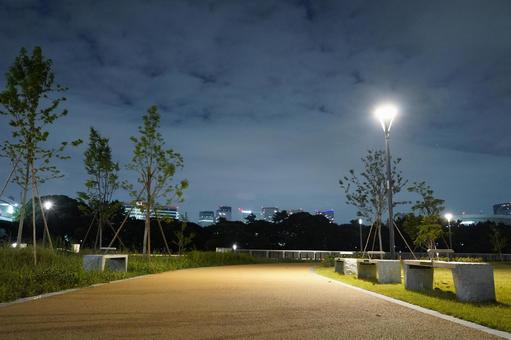 有明親水海浜公園の歩道 有明親水海浜公園の歩道 深夜,夜,ライトアップの写真素材