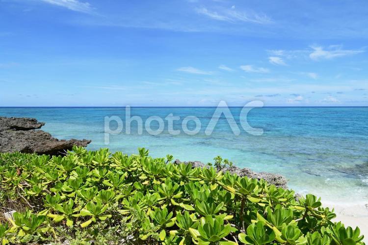 美しい海の風景 海,沖縄,自然の写真素材