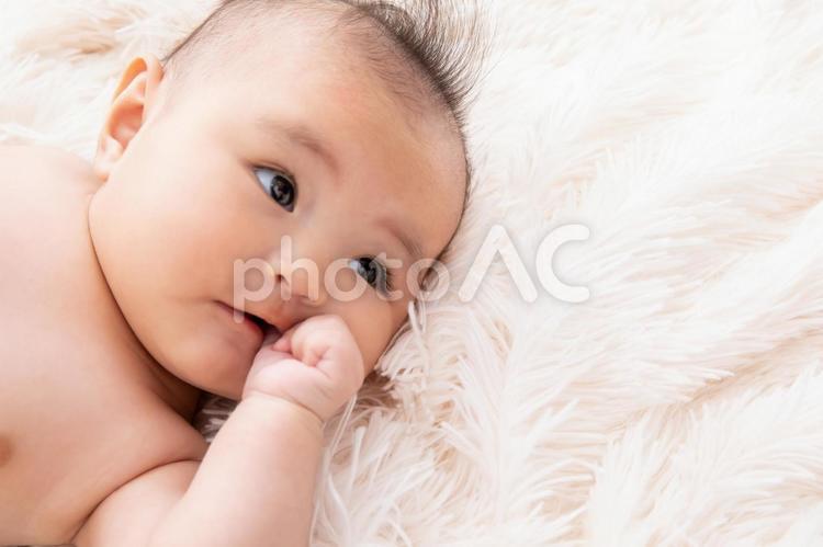 指しゃぶりをする赤ちゃん　baby 赤ちゃん,指しゃぶり,babyの写真素材