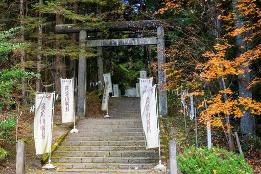 黄金山神社⑴ 紅葉,神社,黄金山神社の写真素材