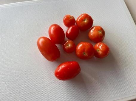 トマトの写真
