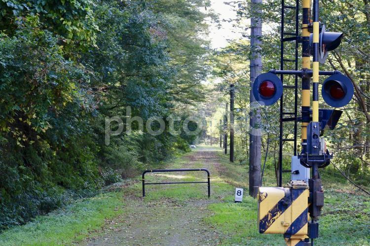 旧国鉄篠ノ井線廃線敷 三五山,トンネル,漆久保の写真素材