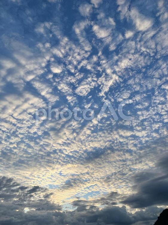 秋の夕暮れ 空,うろこ雲,夕暮れの写真素材