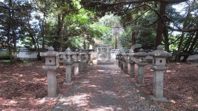 萩城　天樹院　毛利輝元の墓 萩城,指月城,梯郭式の写真素材