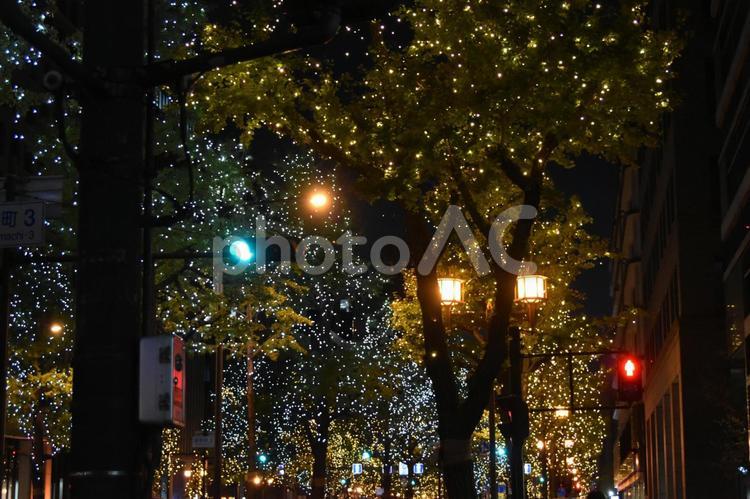 2023御堂筋イルミネーション 御堂筋,イルミネーション,夜景の写真素材