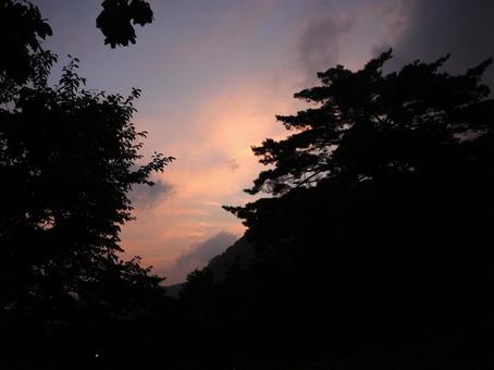 暁の龍たち 暁の龍たちの写真