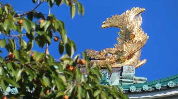 名古屋城　柿の実を食べる金のシャチホコ 名古屋城,尾張徳川家,御三家の写真素材