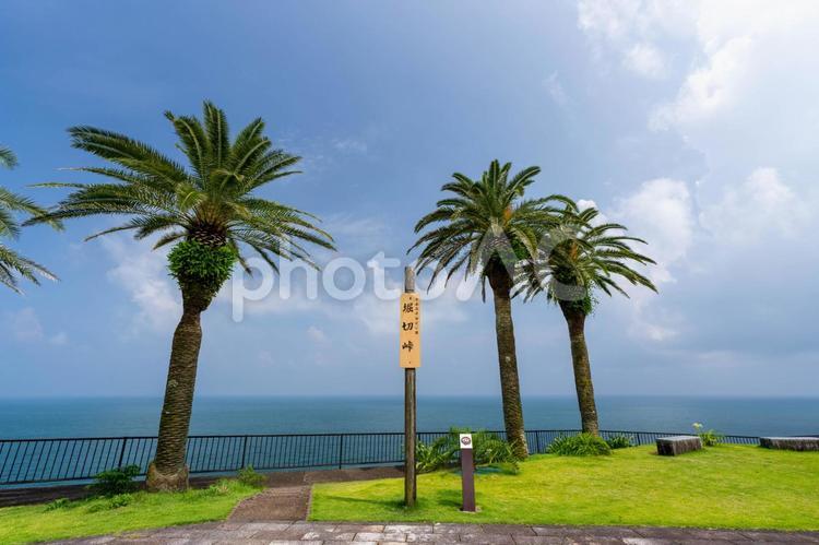 堀切峠 宮崎県宮崎市 南国,夏,青空の写真素材