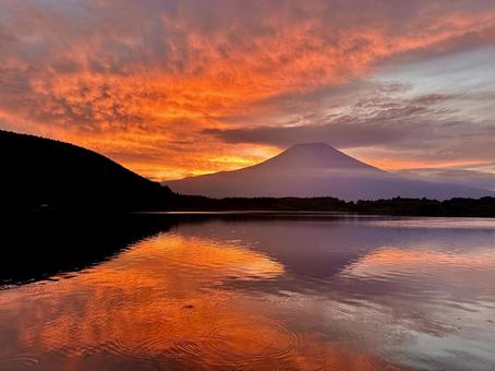 田貫湖と富士山 田貫湖と富士山の写真