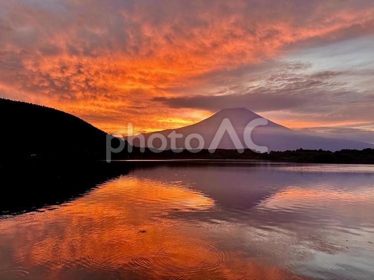 田貫湖と富士山 富士山,朝焼け,朝の写真素材