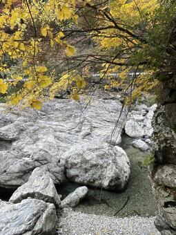 晩秋の田舎 風景,レトロ,ノスタルジーの写真素材
