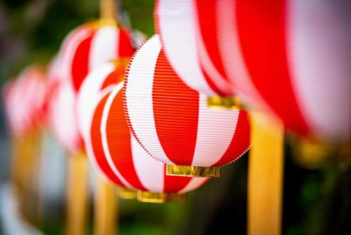 連なる紅白提灯 提灯,ちょうちん,ランタンの写真素材