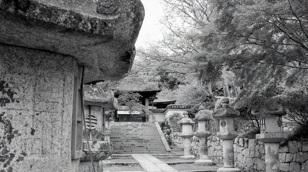 初秋の三井寺唐院探題燈籠と唐院四脚門 初秋の三井寺唐院探題燈籠と唐院四脚門 三井寺,唐院探題燈籠,唐院四脚門の写真素材