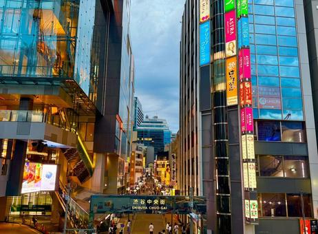 夕暮れの渋谷中央町とビル群の眺め 夕暮れの渋谷中央町とビル群の眺め 街並み,町並み,ビルの写真素材