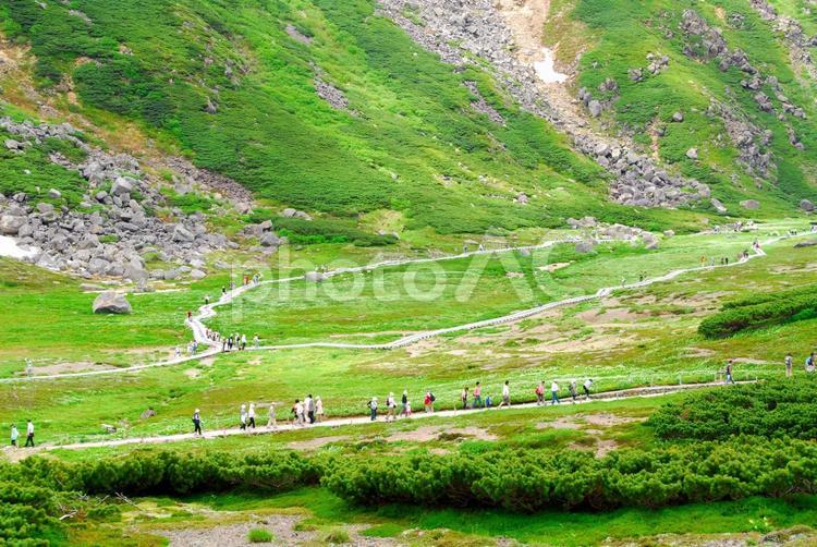夏の乗鞍岳（長野） 乗鞍,乗鞍岳,乗鞍高原の写真素材