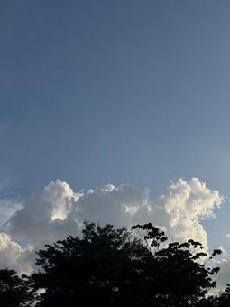 夏の空 夏の空 夏,夏空,快晴の写真素材