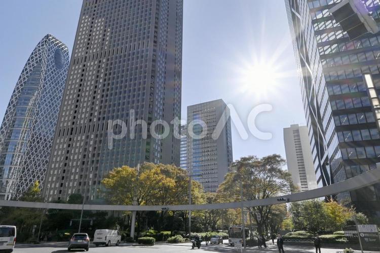 新宿副都心.風景 木陰,マイナスイオン,日差しの写真素材