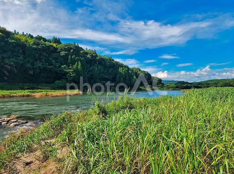 渓流　熊本県　菊池川 熊本県,渓流,清流の写真素材