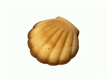 マドレーヌ マドレーヌ,焼き菓子,洋菓子の写真素材