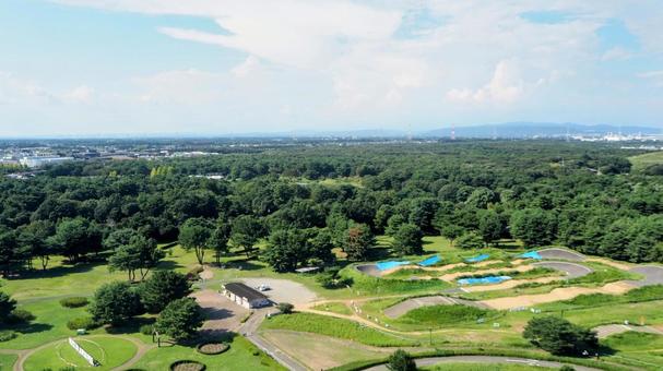 ひたち海浜公園・観覧車から見た公園の樹林 ひたち海浜公園・観覧車から見た公園の樹林の写真